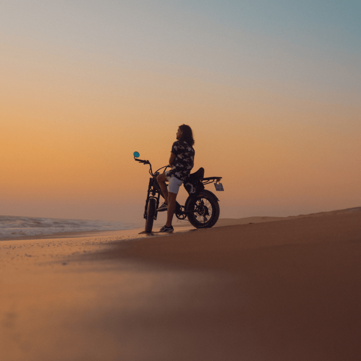 Onemile P40 Pro - E-Bike - Wheelyshop