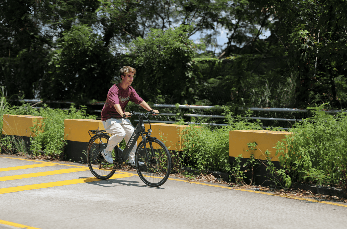 OneSport OT12 - E-Bike - Wheelyshop