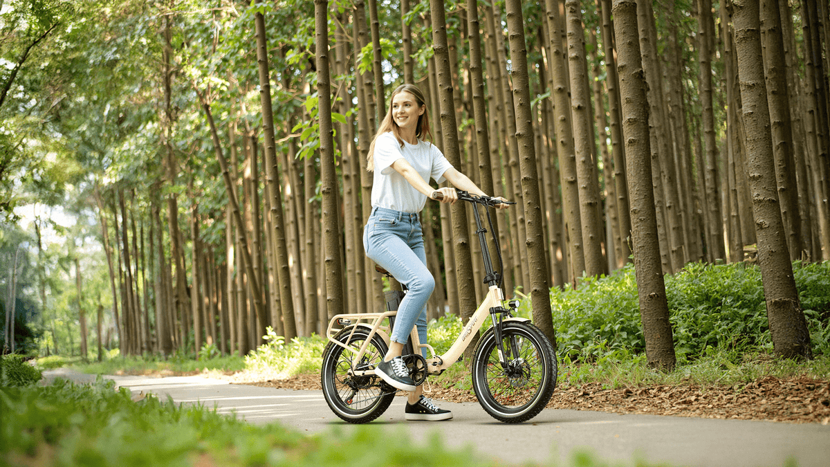 OneSport OT16-2 - E-Bike - Wheelyshop