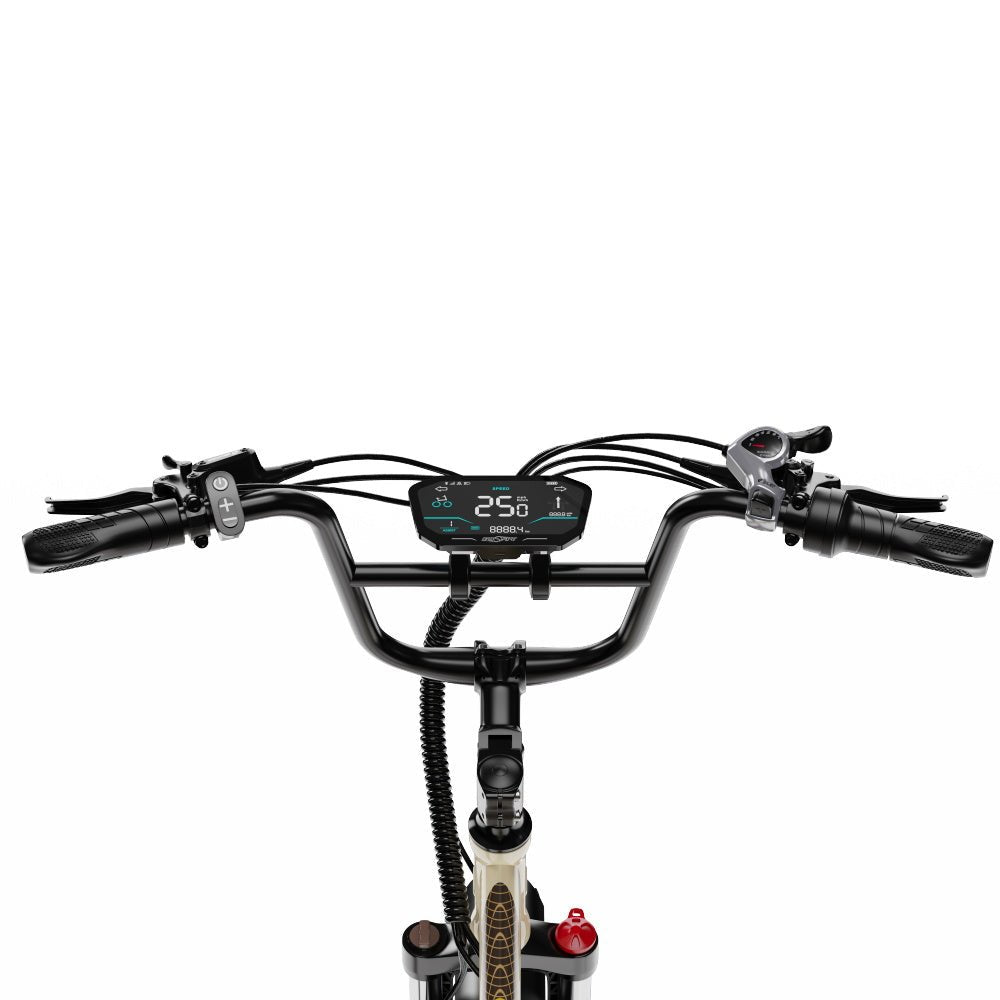 OneSport OT30 Pro - Elektro-Dreirad - Wheelyshop