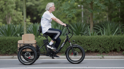 OneSport OT30 Pro - Elektro-Dreirad - Wheelyshop