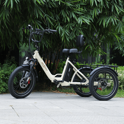 OneSport OT30 Pro - Elektro-Dreirad - Wheelyshop
