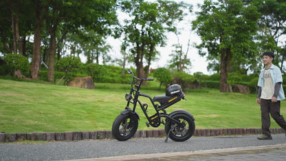 Top Fat Electric Bike for Teens, Packs a Punch and Fun | Hidoes B6mini
