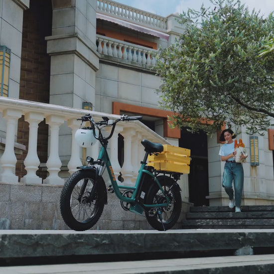 URLIFE E20 Electric Bike Rugged Power, All-Terrain Performance
