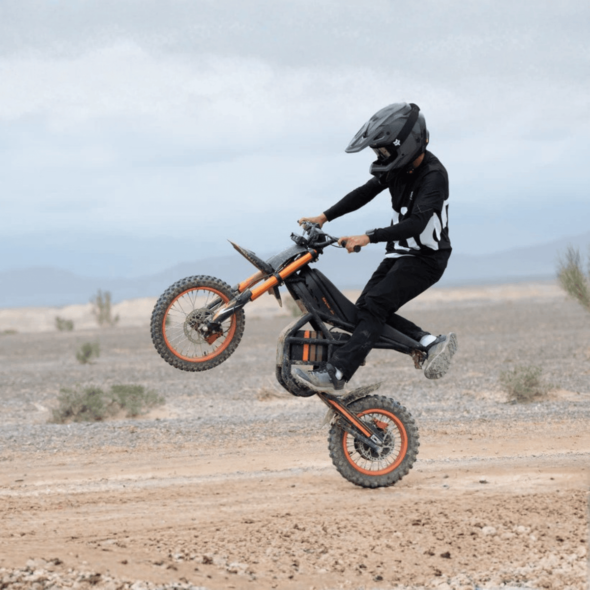 Riding'times GT54 - E-Crossbike - Wheelyshop