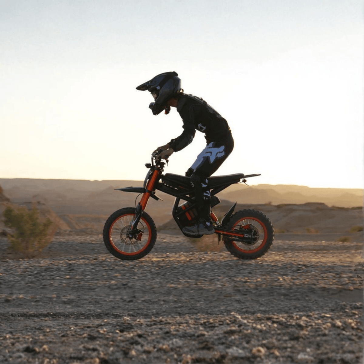 Riding'times GT54 - E-Crossbike - Wheelyshop