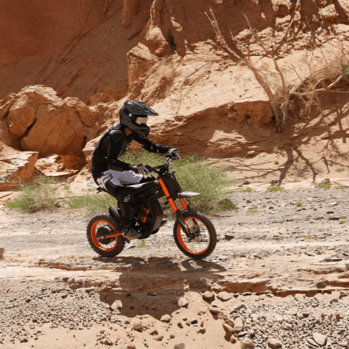 Riding'times GT54 - E-Crossbike - Wheelyshop