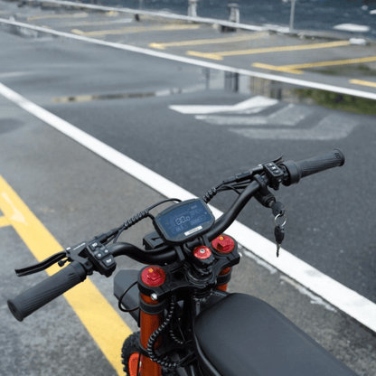 Riding'times GT54 - E-Crossbike - Wheelyshop