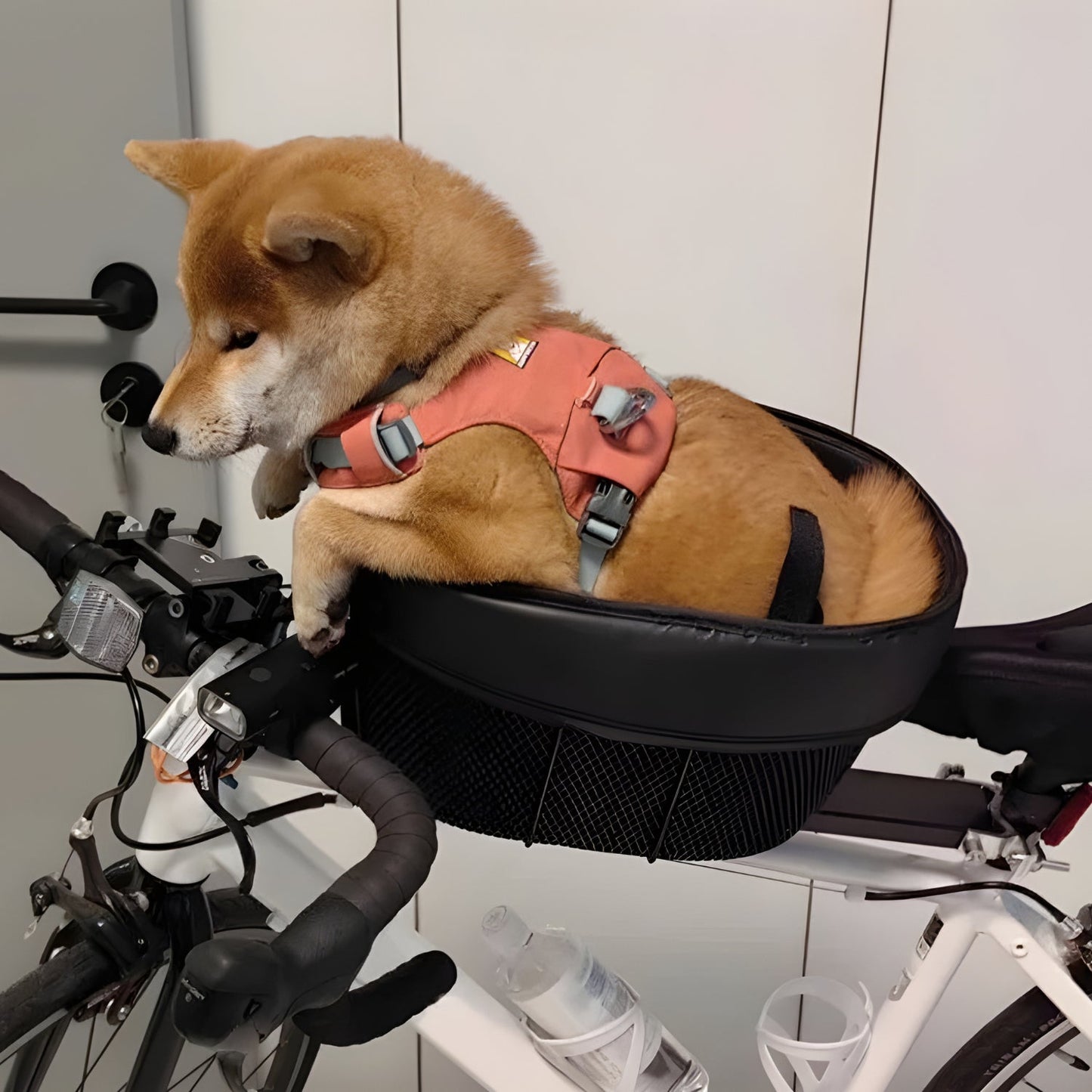 Smarter Hundekorb Fahrrad - Zubehör - Wheelyshop