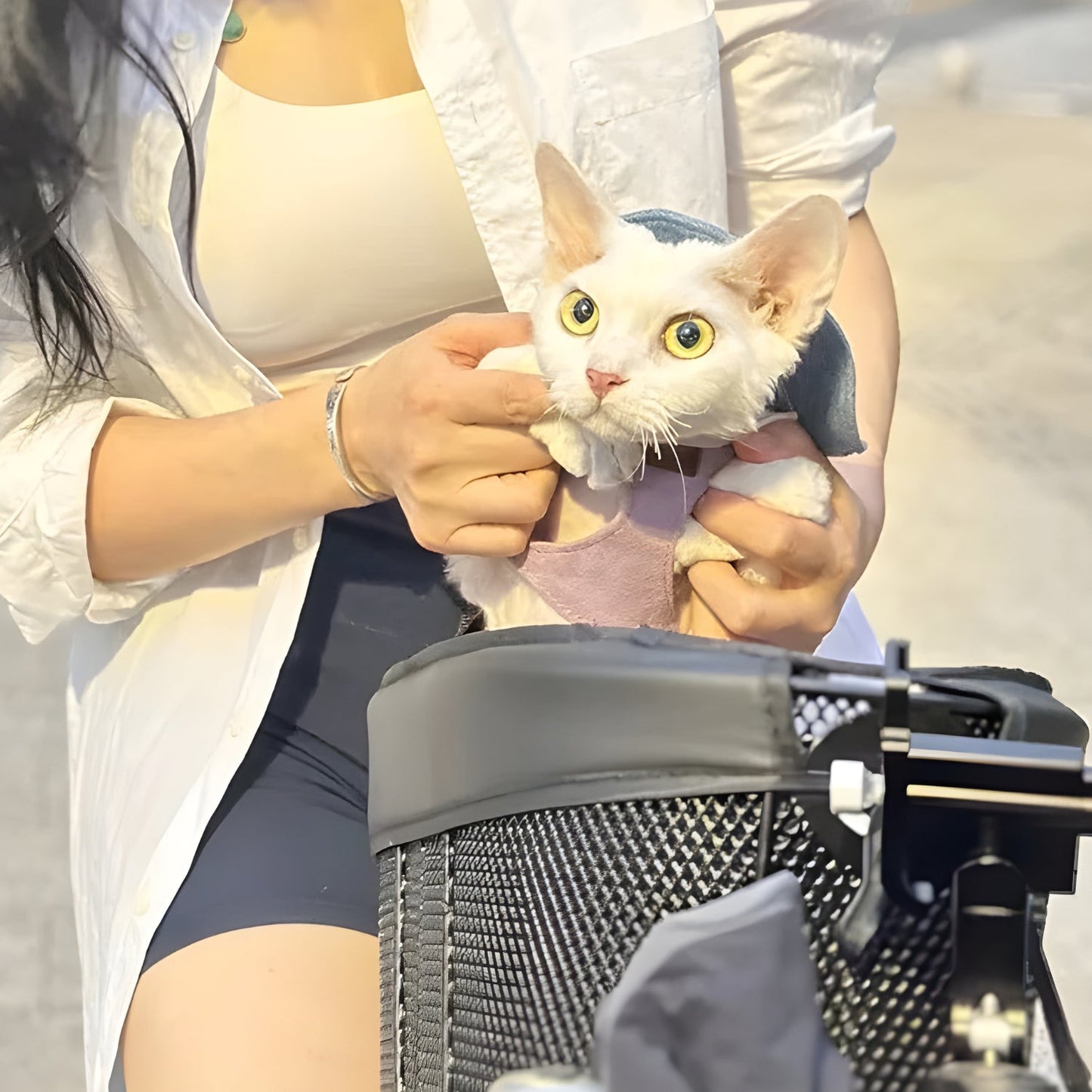 Smarter Hundekorb Fahrrad - Zubehör - Wheelyshop