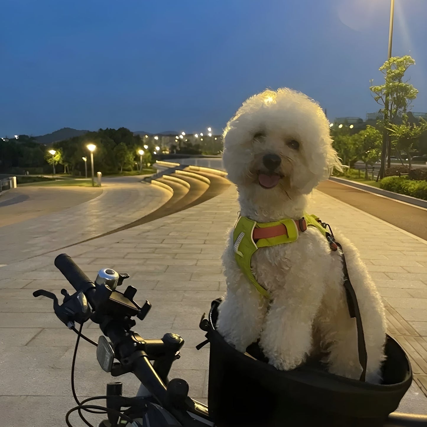 Smarter Hundekorb Fahrrad - Zubehör - Wheelyshop