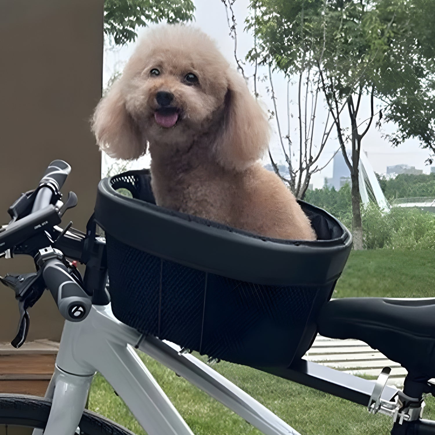 Smarter Hundekorb Fahrrad - Zubehör - Wheelyshop