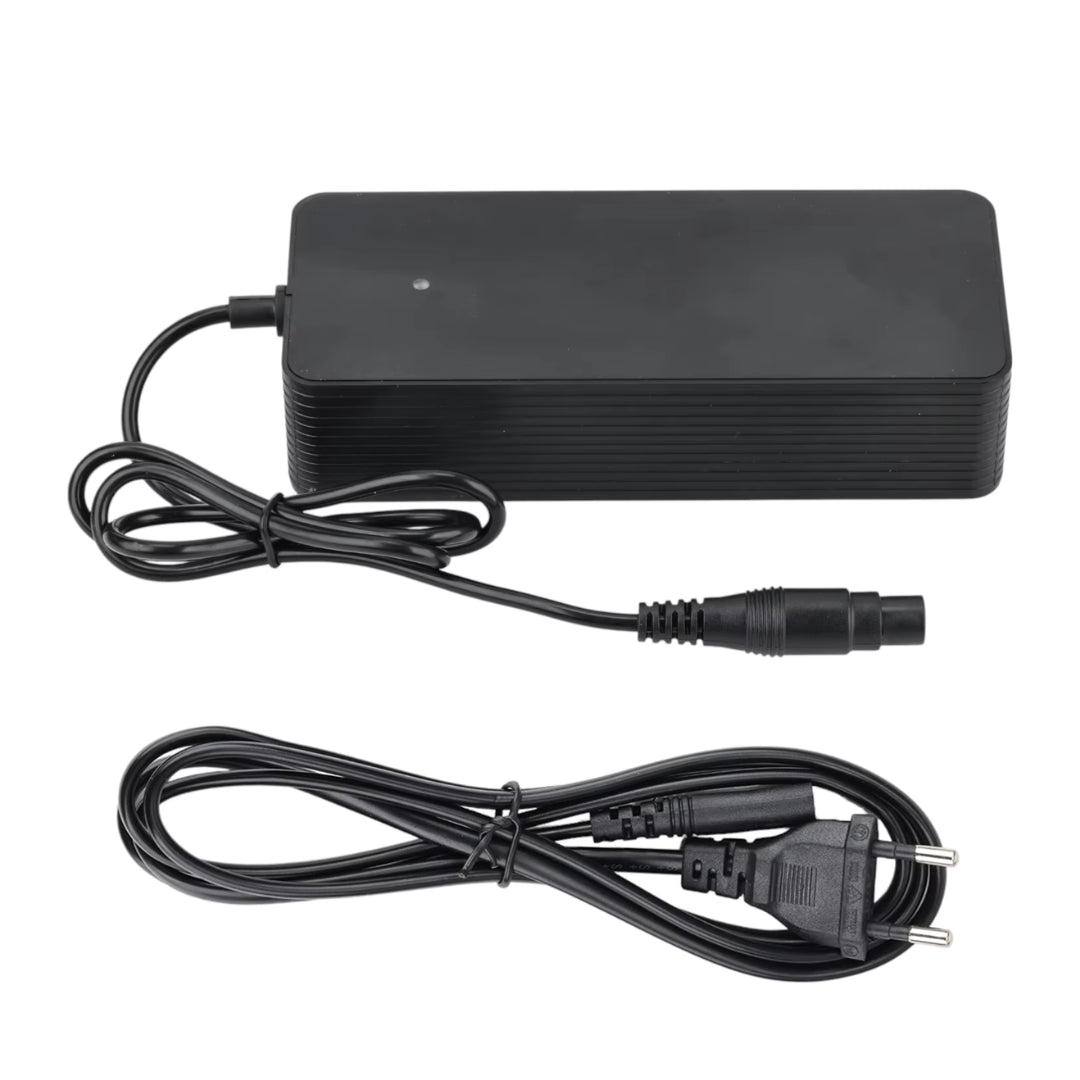 Schnellladegerät Xiaomi 4 Pro Plus/Max + Ninebot ZT3 - Zubehör - Wheelyshop