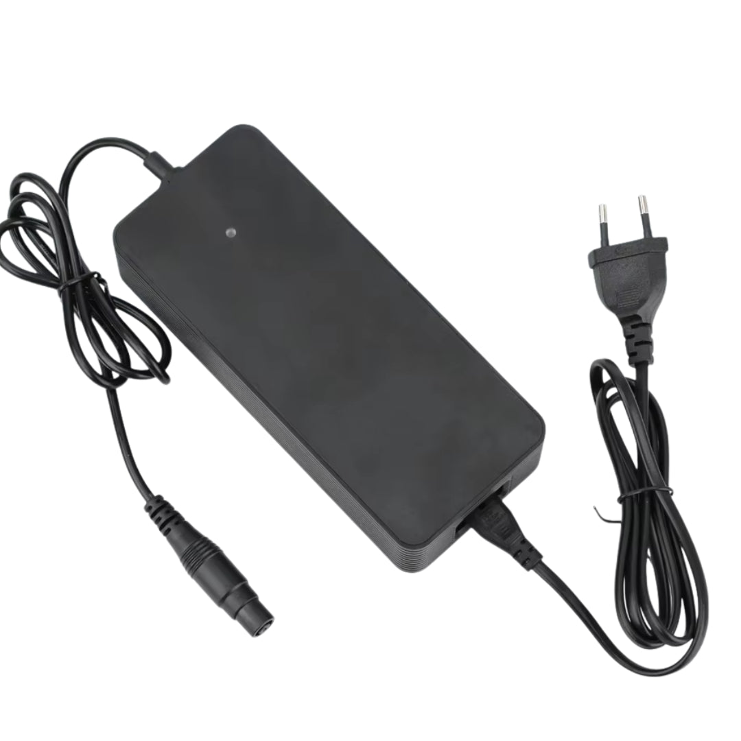 Schnellladegerät Xiaomi 4 Pro Plus/Max + Ninebot ZT3 - Zubehör - Wheelyshop