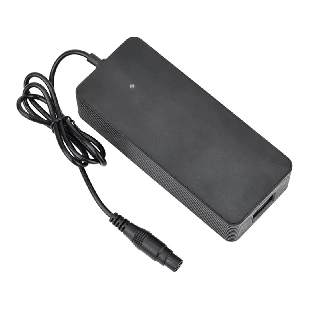 Schnellladegerät Xiaomi 4 Pro Plus/Max + Ninebot ZT3 - Zubehör - Wheelyshop