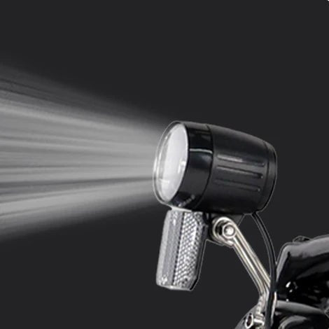 VARUN C20-1 Pro - E-Bike - Wheelyshop