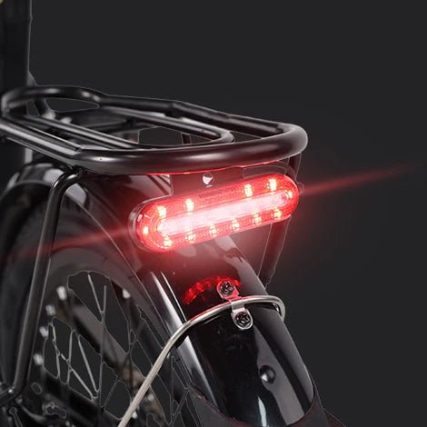 VARUN C20-1 Pro - E-Bike - Wheelyshop