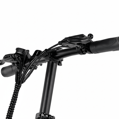 VARUN C20-1 Pro - E-Bike - Wheelyshop