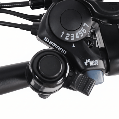 VARUN C20-1 Pro - E-Bike - Wheelyshop