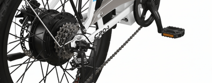 VARUN C20-1 Pro - E-Bike - Wheelyshop