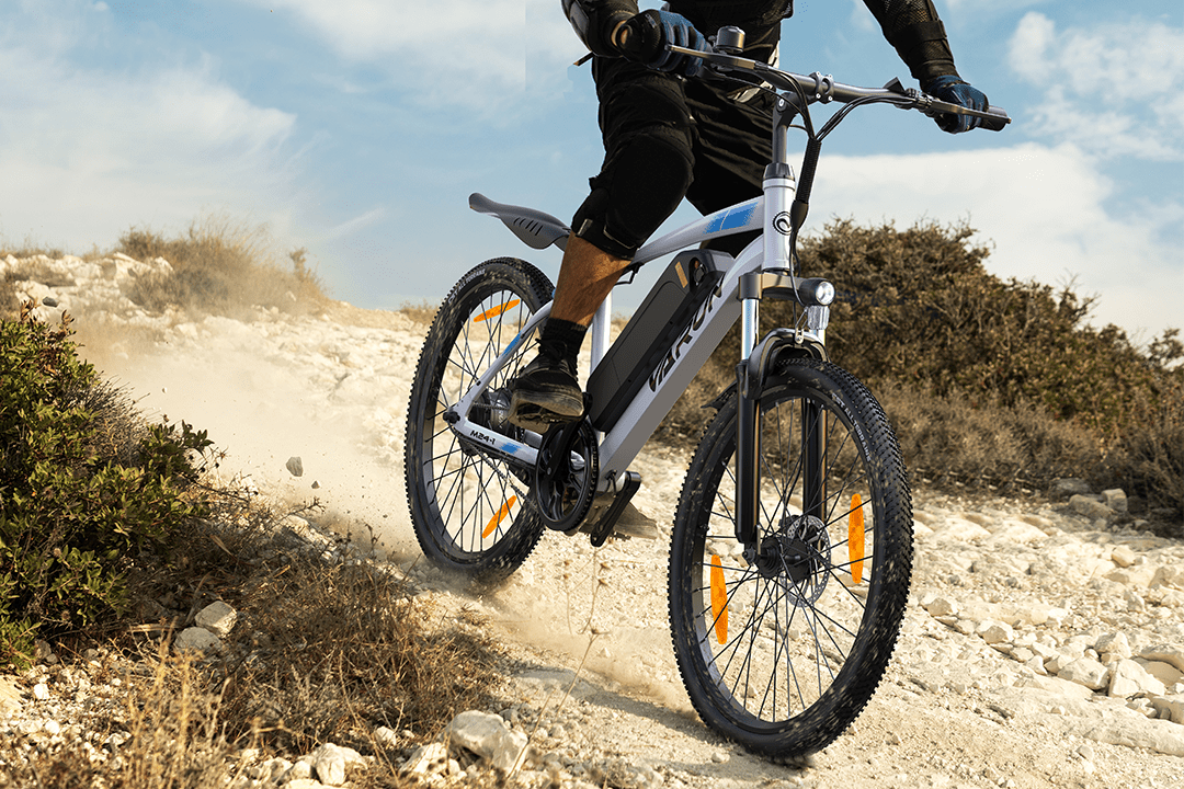 VARUN M24-1 - E-Bike - Wheelyshop
