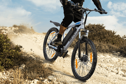 VARUN M24-1 - E-Bike - Wheelyshop
