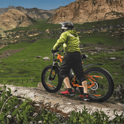 VARUN M26-2 Pro - E-Bike - Wheelyshop