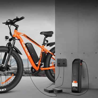 VARUN M26-2 Pro - E-Bike - Wheelyshop