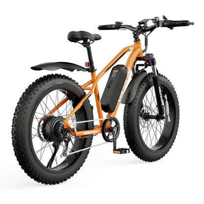 VARUN M26-2 Pro - E-Bike - Wheelyshop