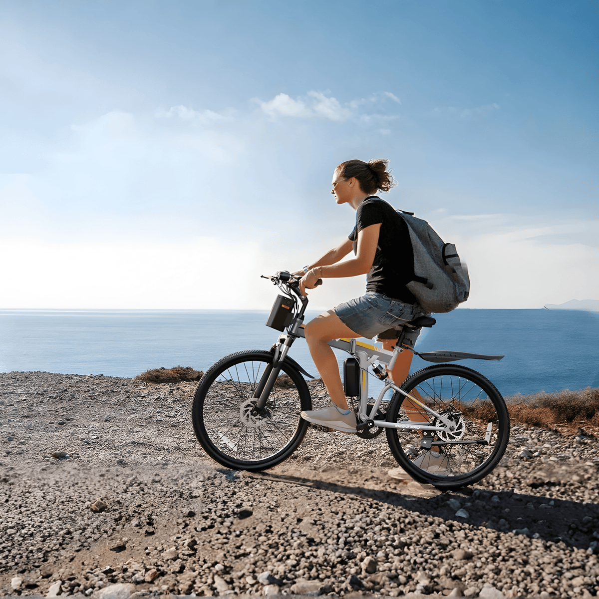 VARUN M26-3 Pro - E-Bike - Wheelyshop