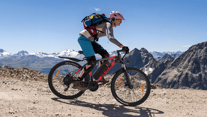 VARUN M27-1 Pro - E-Bike - Wheelyshop