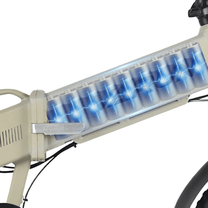 VARUN S20-1 - E-Bike - Wheelyshop