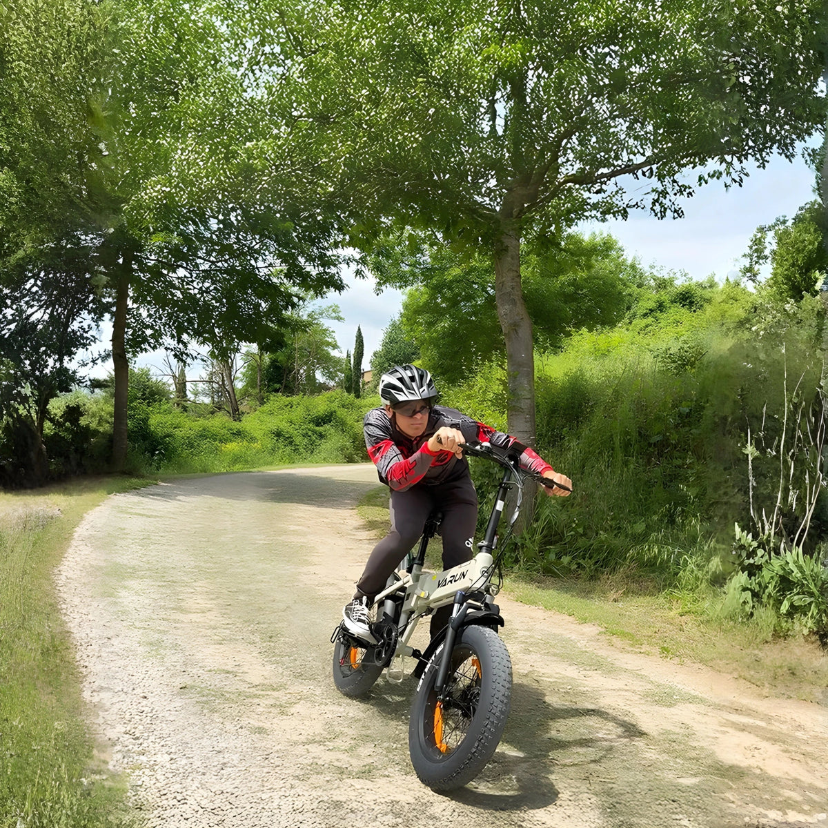VARUN S20-1 - E-Bike - Wheelyshop