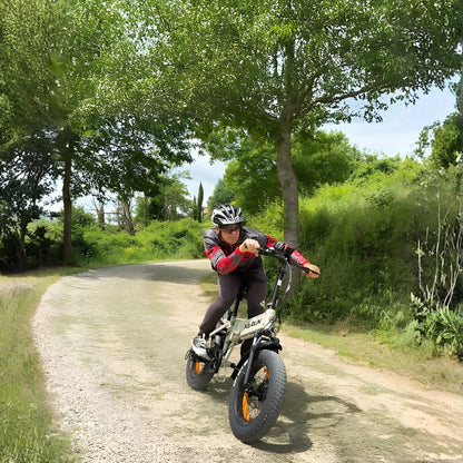VARUN S20-1 - E-Bike - Wheelyshop