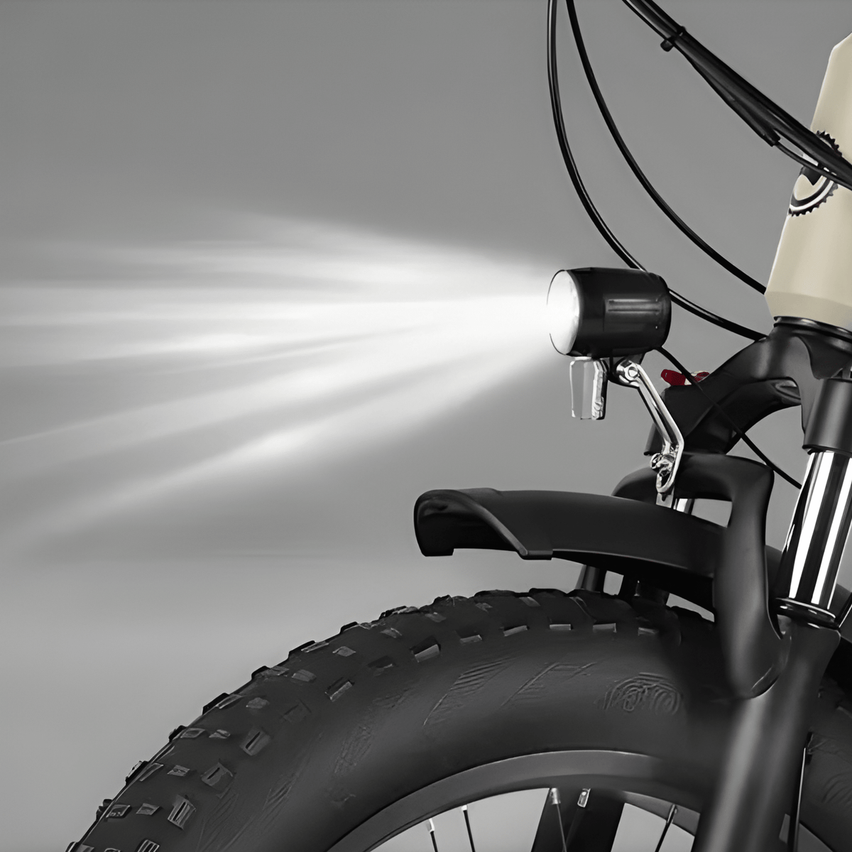 VARUN S20-1 - E-Bike - Wheelyshop