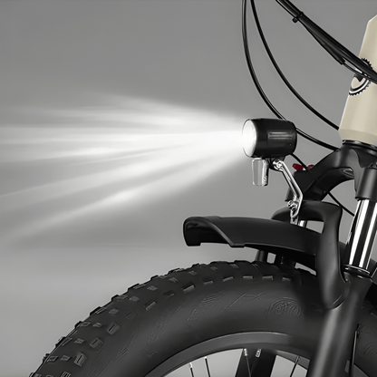 VARUN S20-1 - E-Bike - Wheelyshop
