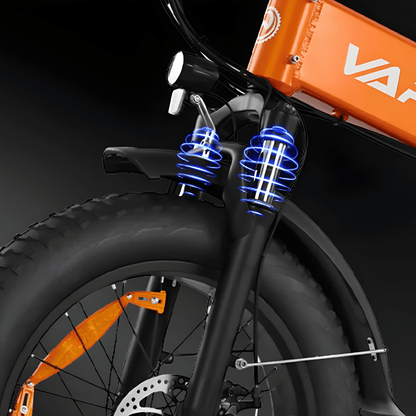 VARUN S20-1 Plus - E-Bike - Wheelyshop