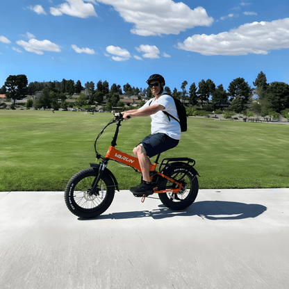 VARUN S20-1 Plus - E-Bike - Wheelyshop