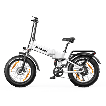 VARUN S20-1 Plus - E-Bike - Wheelyshop
