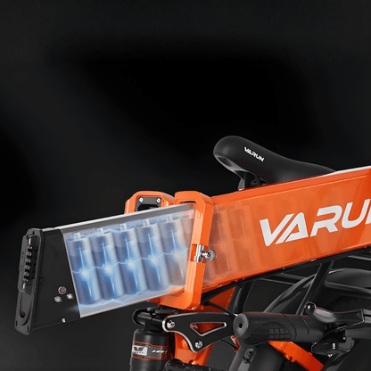 VARUN S20-1 Plus - E-Bike - Wheelyshop