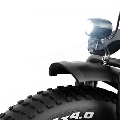VARUN S20-1 Plus - E-Bike - Wheelyshop