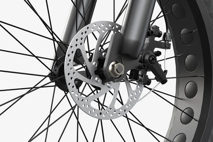 VARUN S26-1 - E-Bike - Wheelyshop