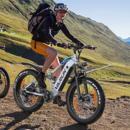 VARUN S26-1 - E-Bike - Wheelyshop