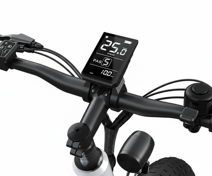 VARUN S26-1 - E-Bike - Wheelyshop