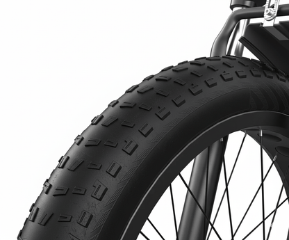 VARUN S26-1 - E-Bike - Wheelyshop