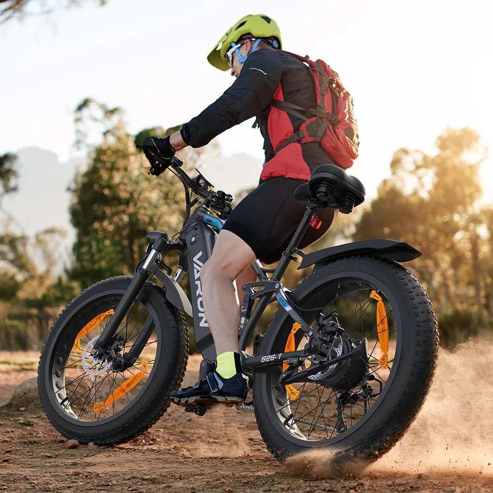 VARUN S26-1 - E-Bike - Wheelyshop