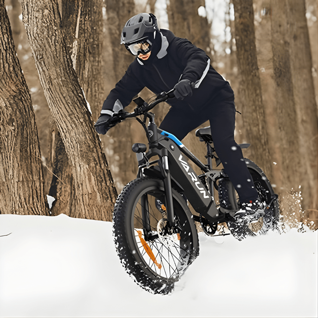 VARUN S26-1 - E-Bike - Wheelyshop