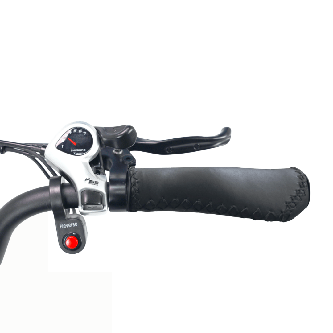 Hidoes ET1 - Elektro-Dreirad - Wheelyshop