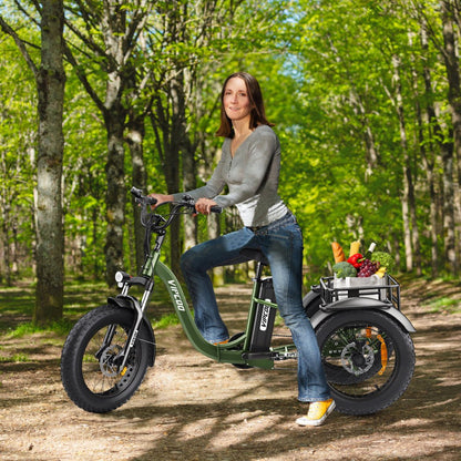 Hidoes ET1 - Elektro-Dreirad - Wheelyshop