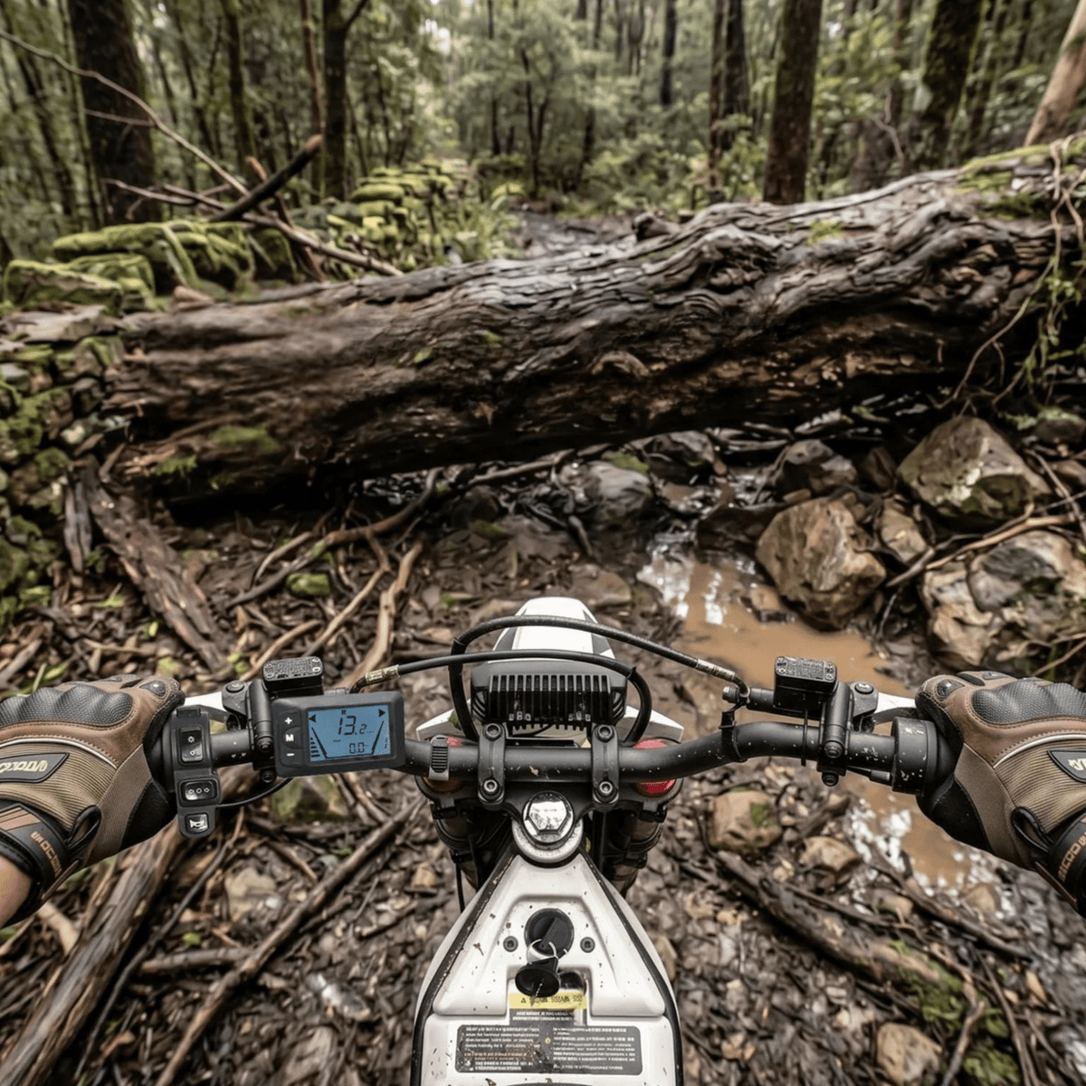 VIPCOO H2 - E-Crossbike - Wheelyshop